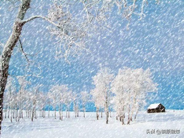 描写雪的文章(雪花是一朵清芬的花)