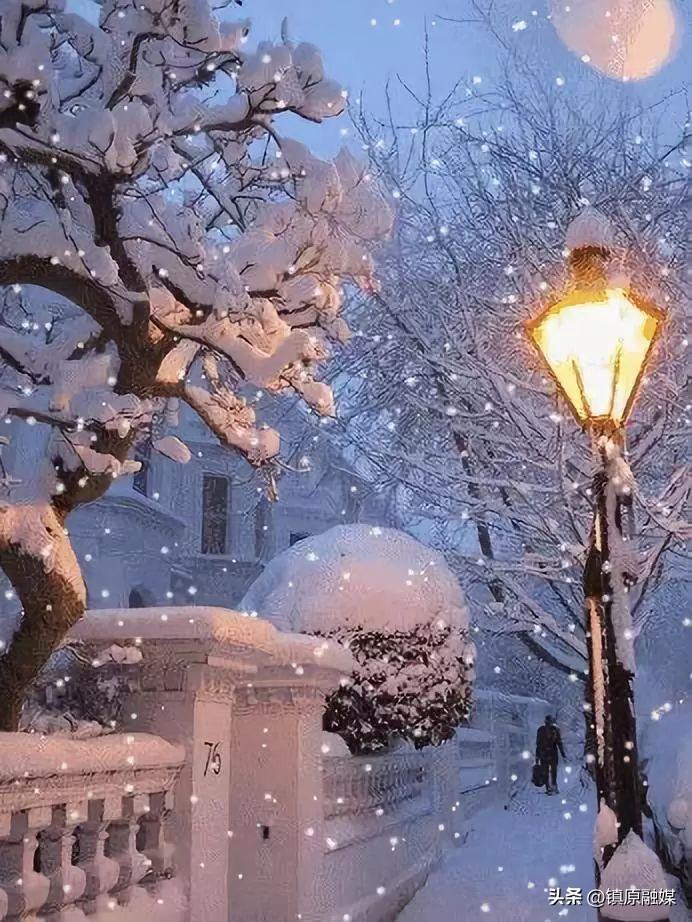 描写雪的文章(雪花是一朵清芬的花)