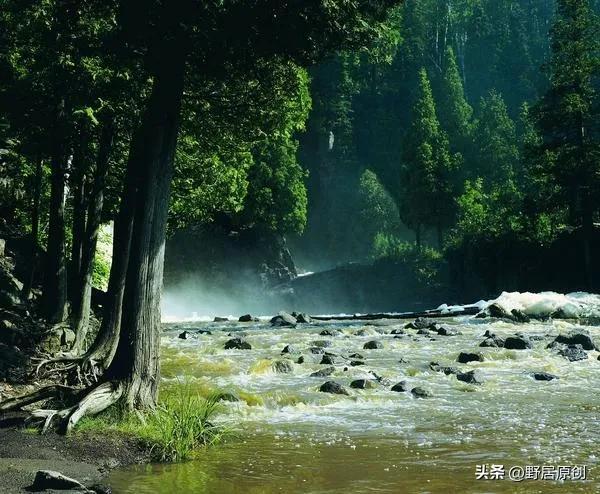 抒情散文一篇(时光,让岁月留香)