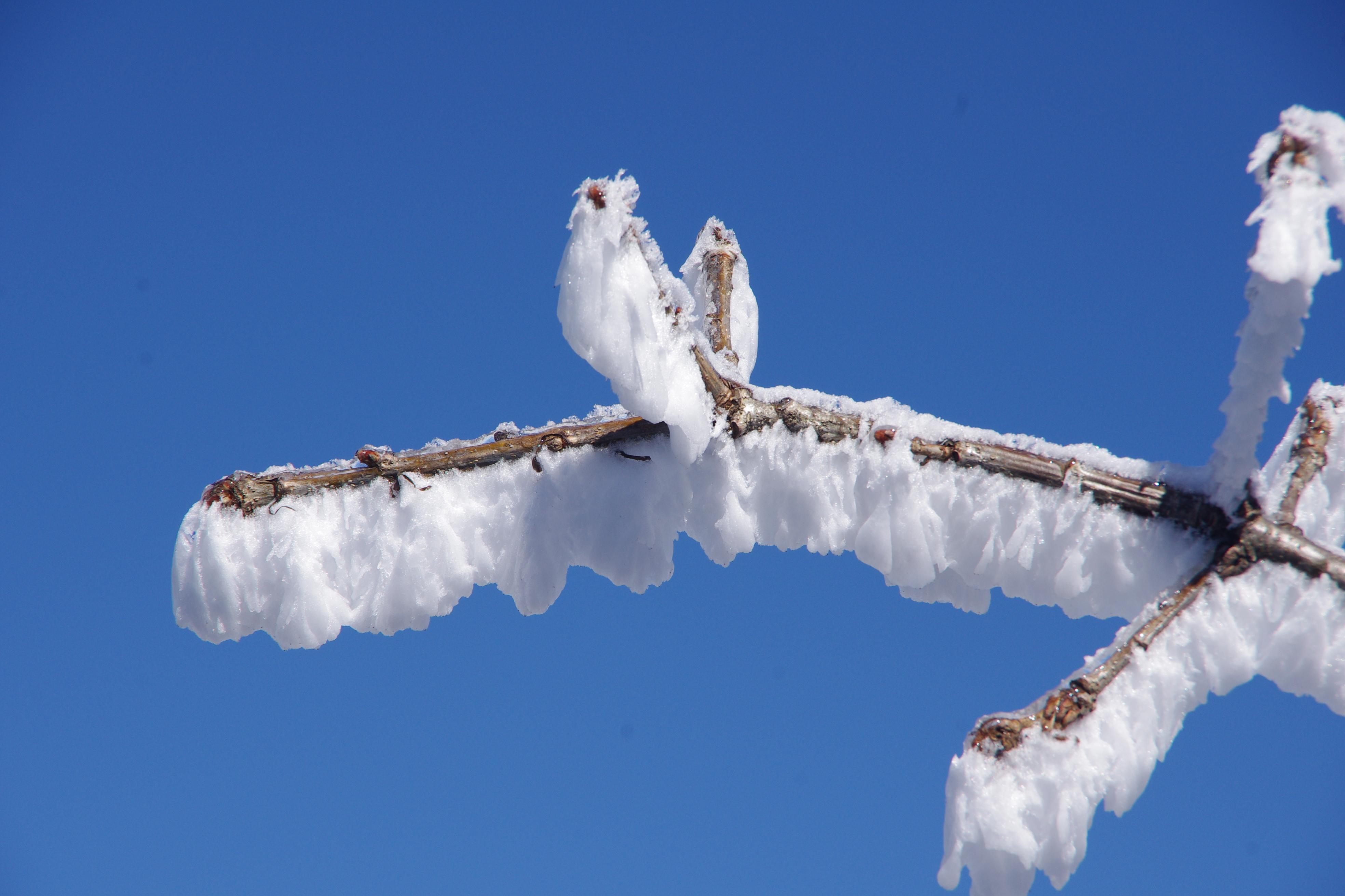 形容雪景的优美句子20句,总有一句让你心仪