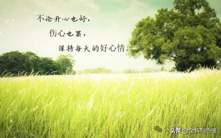 描写心情好的句子12句,读一遍就念念不忘!