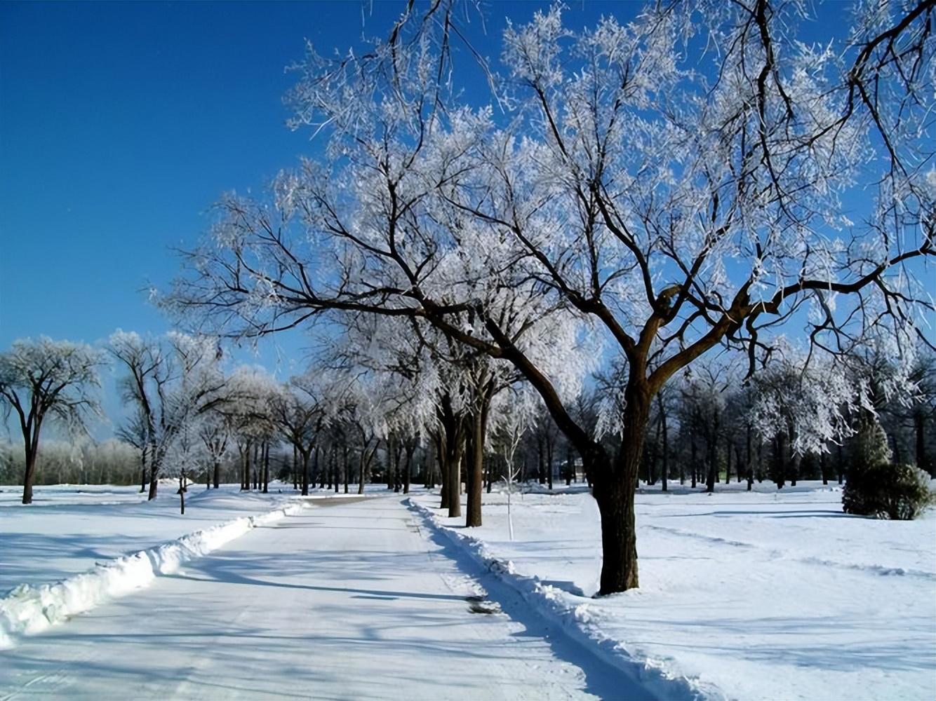 关于雪的句子40句,最美不过下雪天