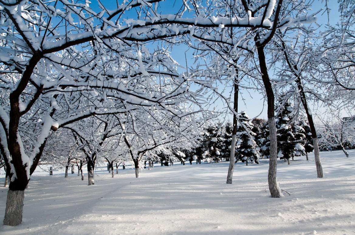 关于雪的句子40句,最美不过下雪天