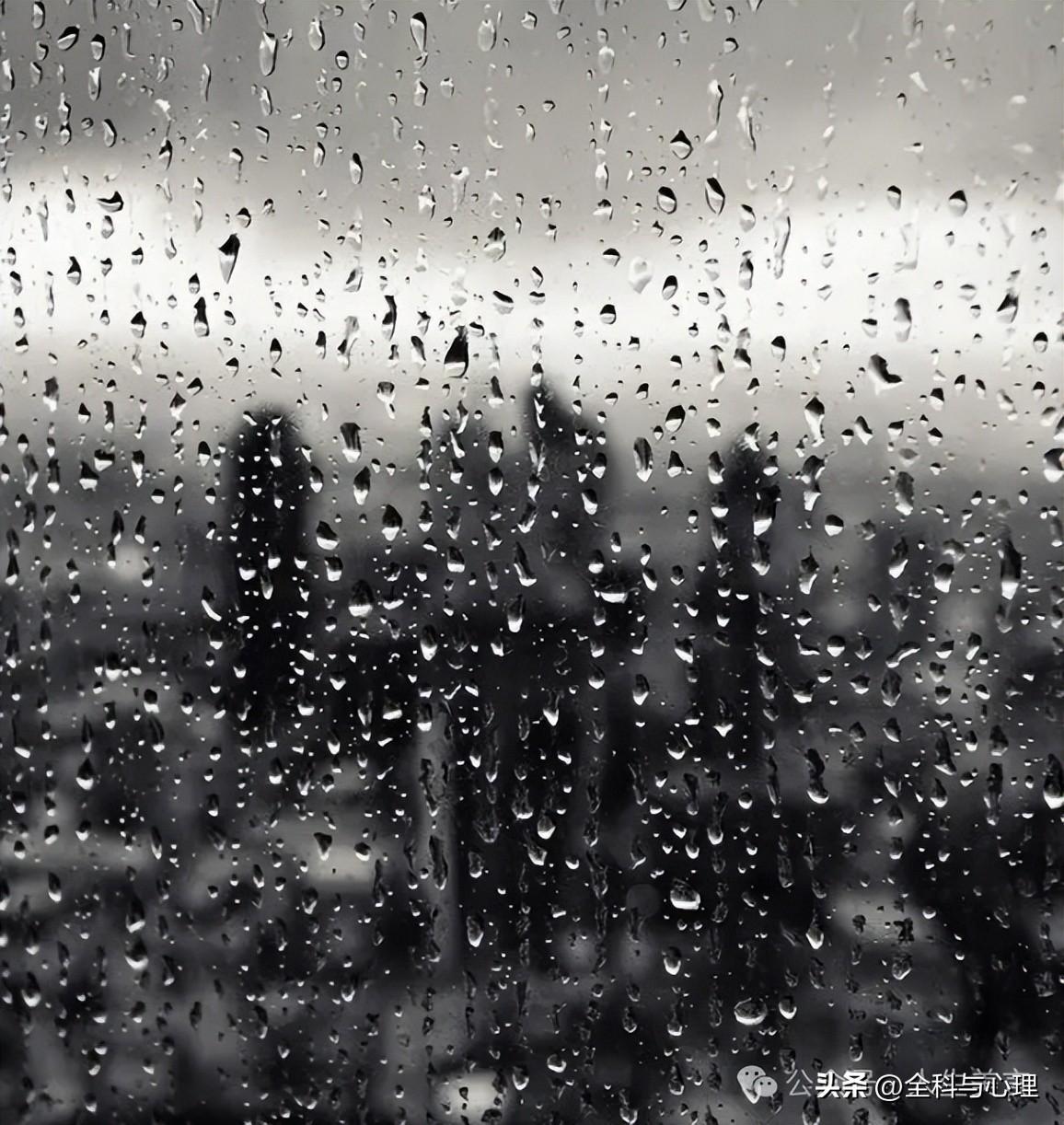 雨天朋友圈高质量句子15句,如果没人给你送伞,记得自己撑把伞