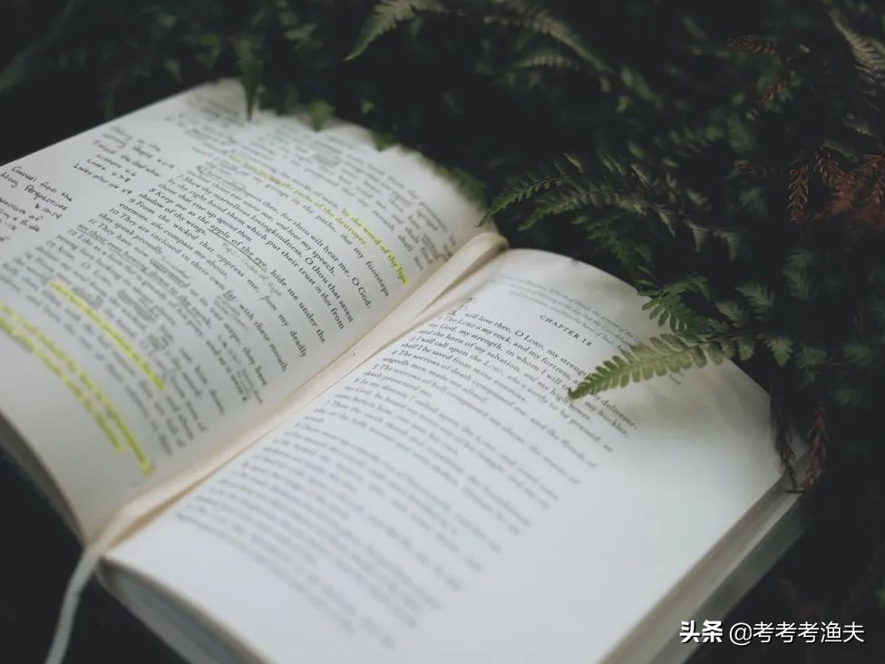 博尔赫斯语录30句,如同探照灯,照亮一切