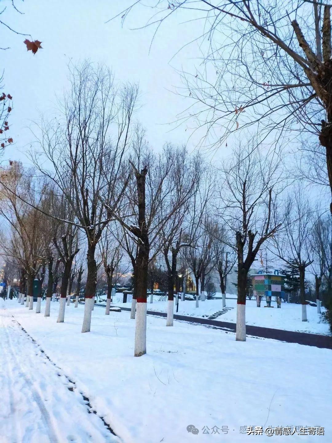下雪天的文案12句,记录这个冬天的美