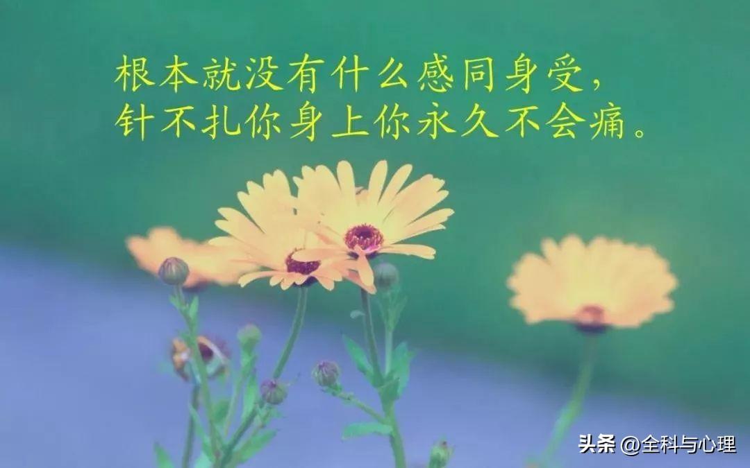 发朋友圈高情商句子12句,总有一句让你感同身受