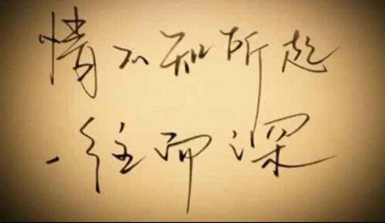 一晃就老了的唯美句子50句,要学会善待自己