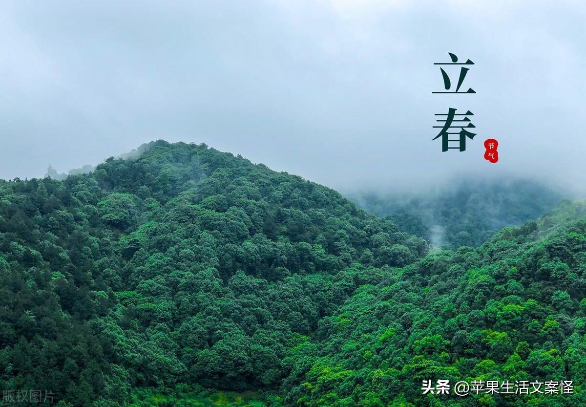 立春简短文案20句,立是开始,春是希望
