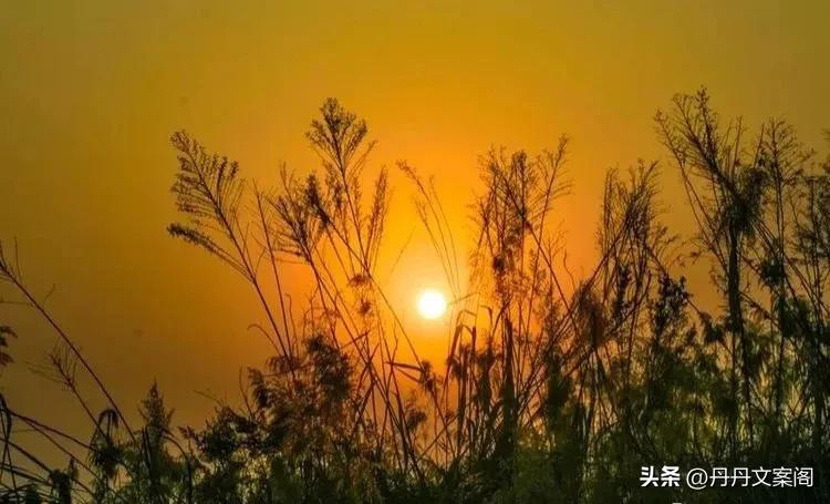 入冬的唯美句子30句,温暖美好,沁人心脾