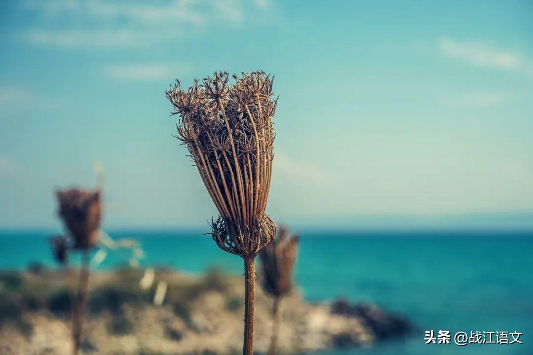 新学期加油的句子40句,踏上新征程,放飞青春梦想