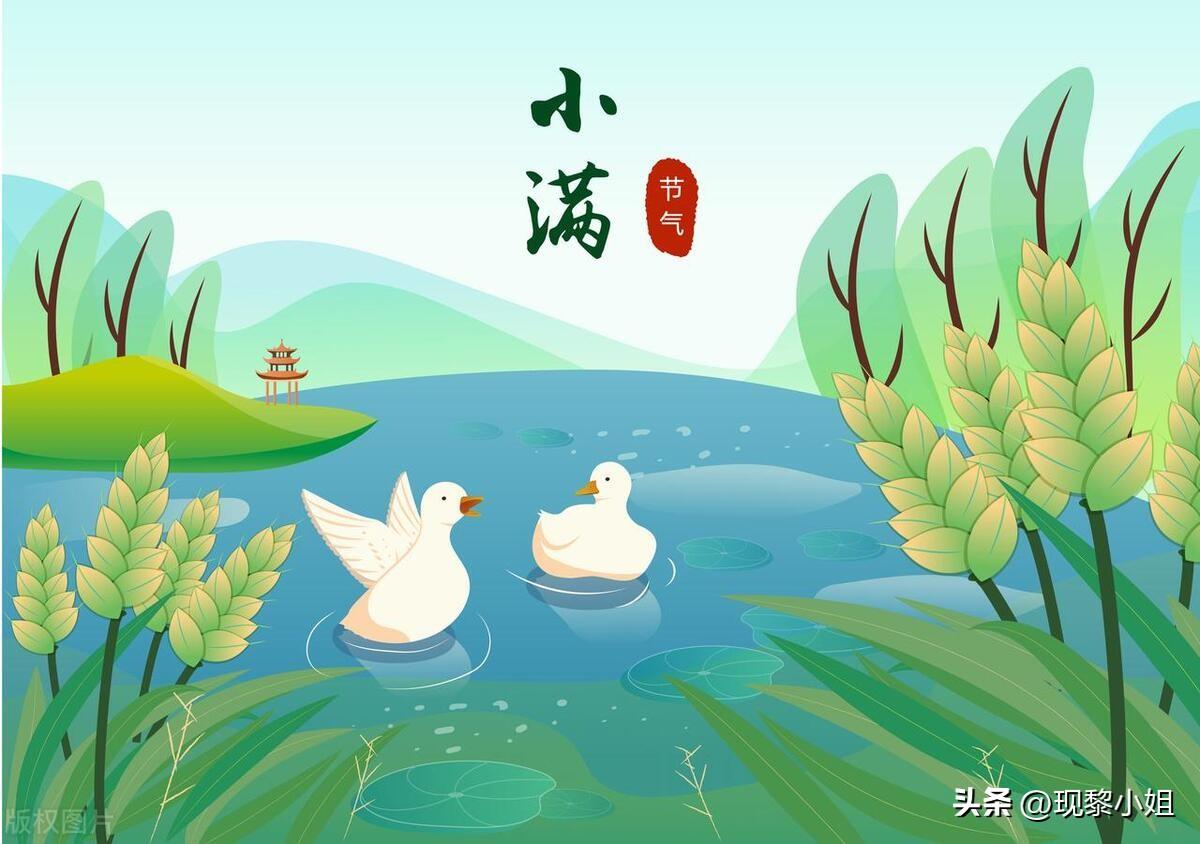 小满诗句10句,感受人间半夏!