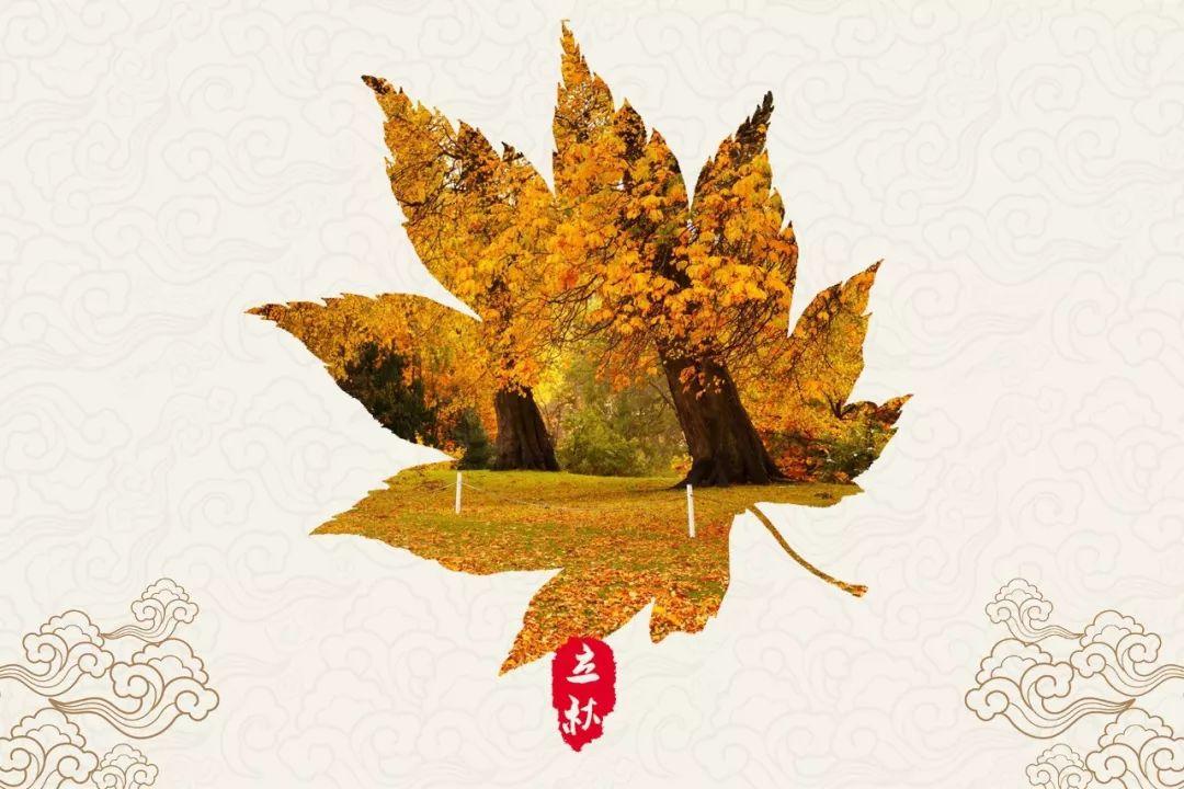 立秋的著名古诗10首,迎接凉爽秋天