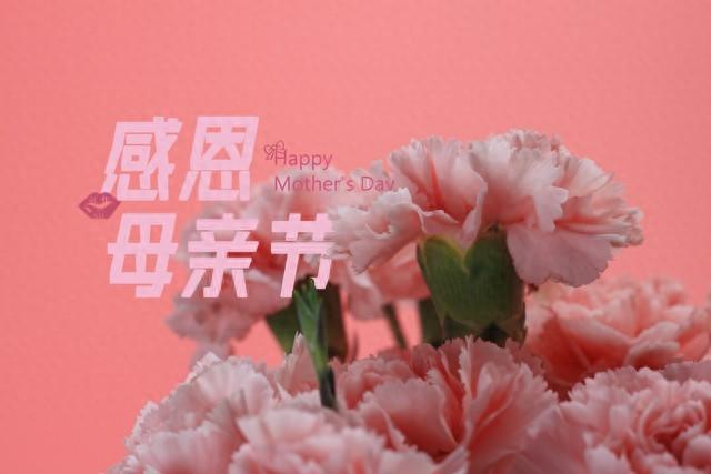 给母亲节的祝福语100句,您是世界上最伟大的人