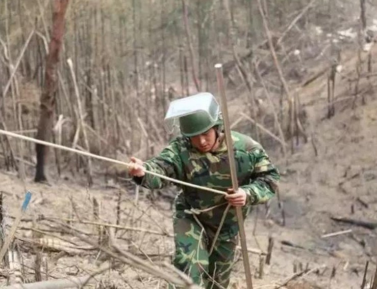 杜富国英雄事迹简介可复制(英雄杜富国的感人故事)