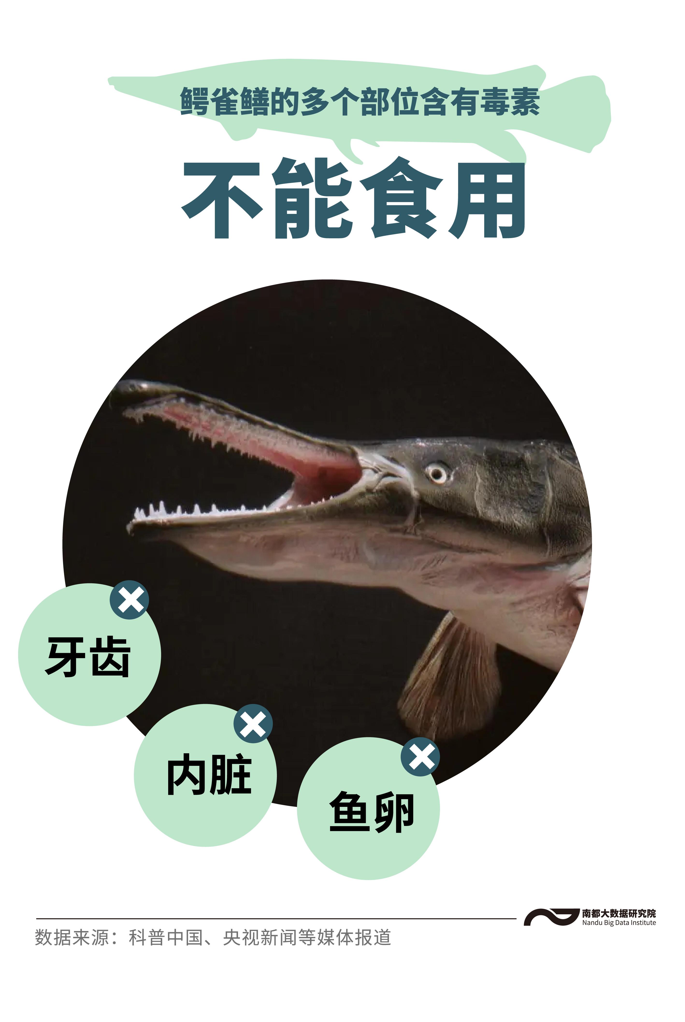 鳄雀鳝的资料简介(鳄雀鳝能吃吗,危害有哪些)