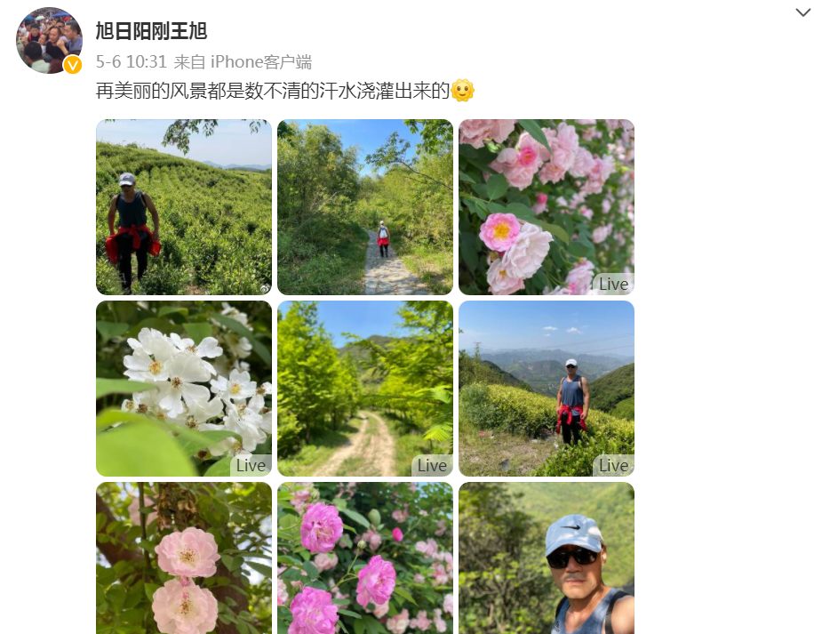春天里旭日阳刚资料简介(旭日阳刚现状)