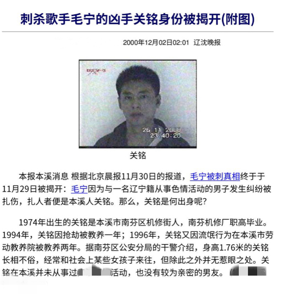 我是歌手毛宁简介资料图片大全大图(歌唱演员毛宁简历)