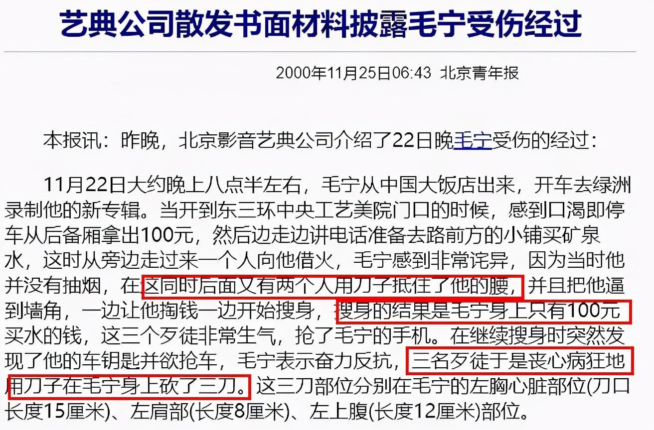 我是歌手毛宁简介资料图片大全大图(歌唱演员毛宁简历)