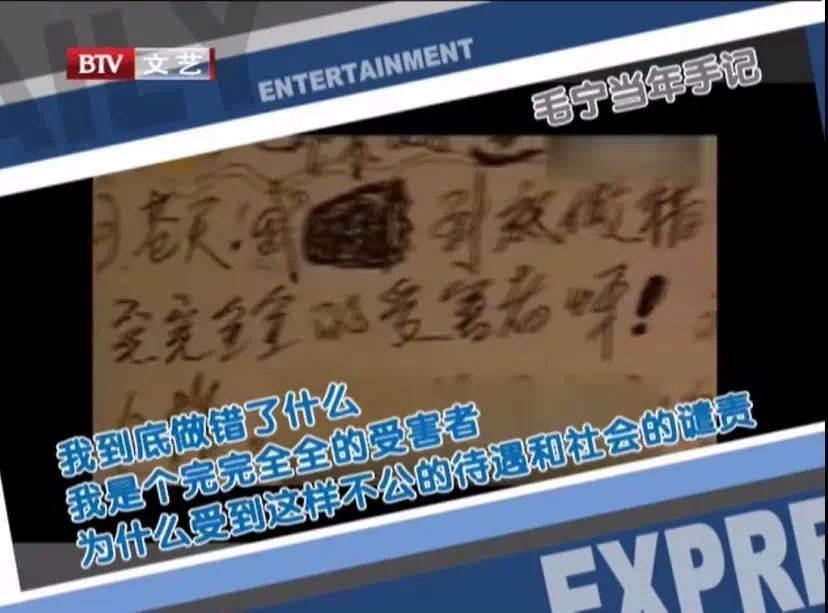 我是歌手毛宁简介资料图片大全大图(歌唱演员毛宁简历)