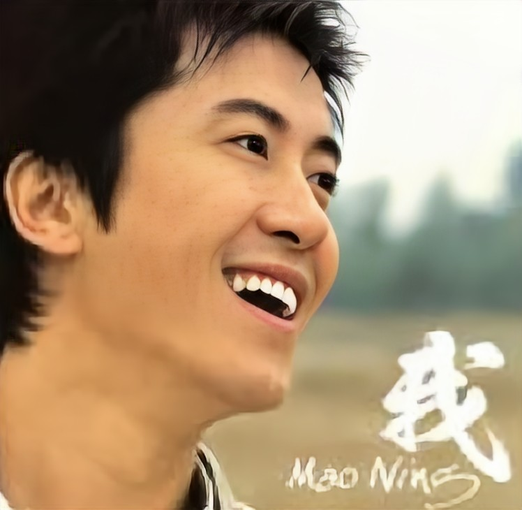 我是歌手毛宁简介资料图片大全大图(歌唱演员毛宁简历)