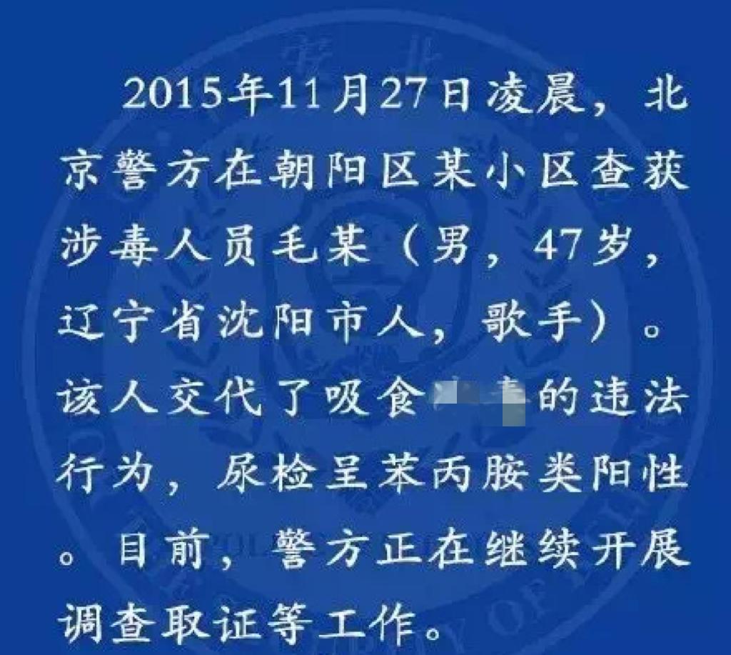 我是歌手毛宁简介资料图片大全大图(歌唱演员毛宁简历)