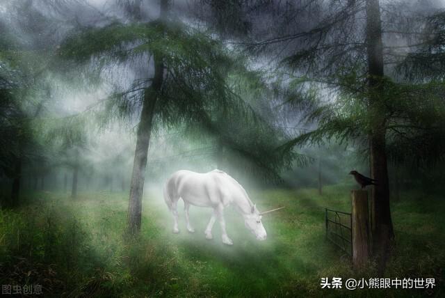 阎zk小说《镇妖博物馆》读后感(镇妖博物馆好看吗,主要讲了什么内容?)