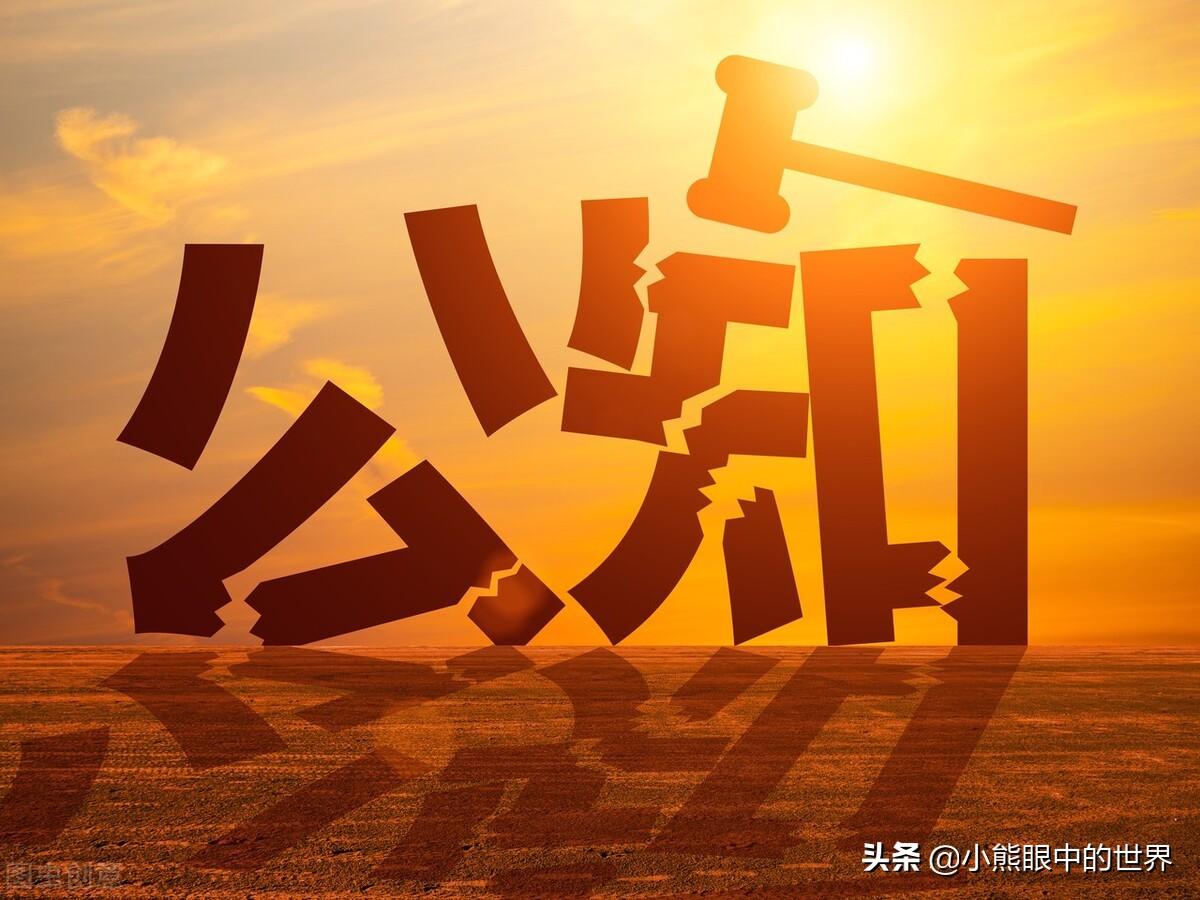 点爷01小说《绝境长城上的王者》读后感(绝境长城上的王者好看吗,主要讲了什么内容?)