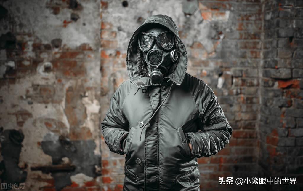 晨星ll小说《我在末世有套房》读后感(我在末世有套房好看吗,主要讲了什么内容?)