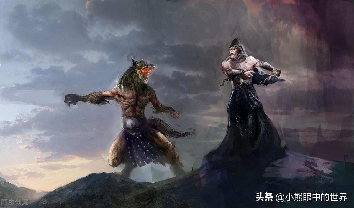 流浪的蛤蟆小说《仙狐》读后感(仙狐小说好看吗,主要讲了什么内容?)