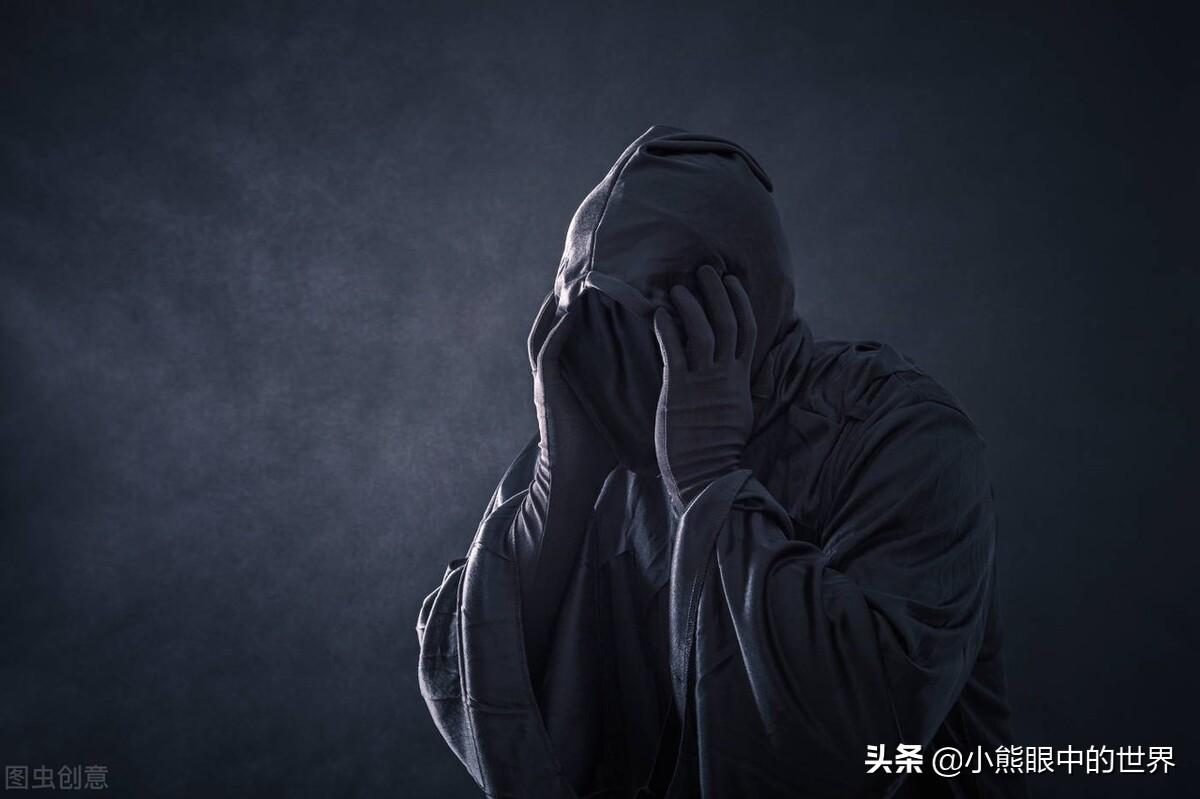 流浪的蛤蟆小说《仙狐》读后感(仙狐小说好看吗,主要讲了什么内容?)