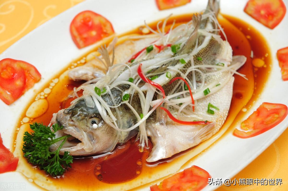 会做菜的猫小说《美食供应商》读后感(美食供应商好看吗,主要讲了什么内容?)