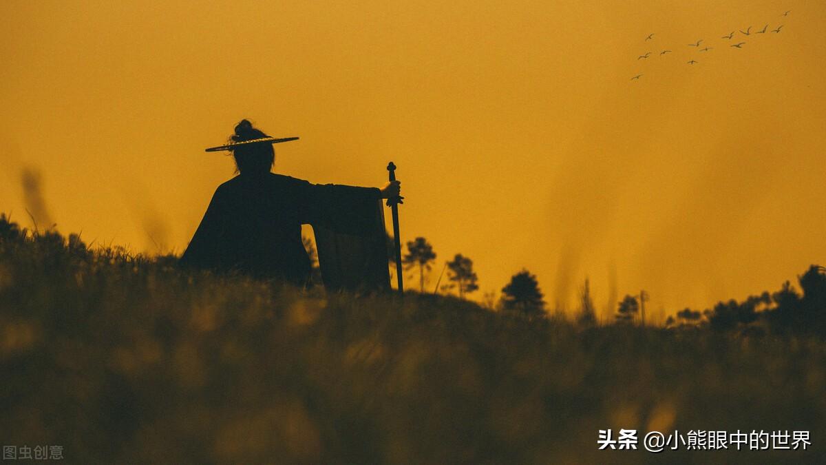 情何以甚小说《赤心巡天》读后感(赤心巡天好看吗,主要讲了什么内容?)