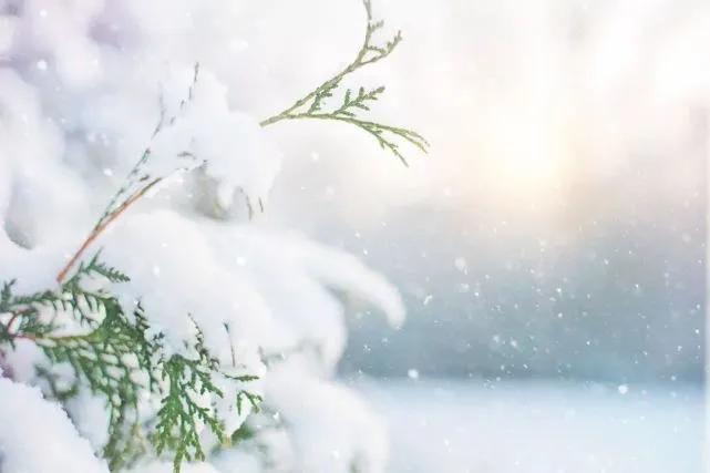 描写雪不带雪的成语有哪些词语?写雪不见雪的诗词大全