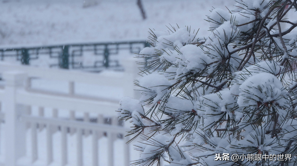 战疫在寒冷的季节,总会有那一抹温暖的阳光热乎我们的心头