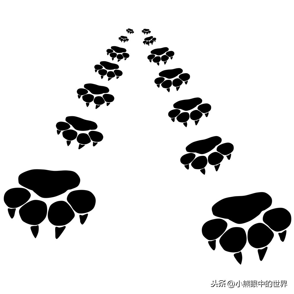战疫在寒冷的季节,总会有那一抹温暖的阳光热乎我们的心头