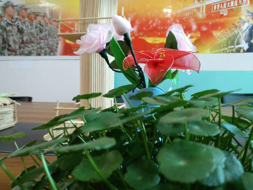 青春万岁!中考作文参考范文《谱写青春华彩乐章》
