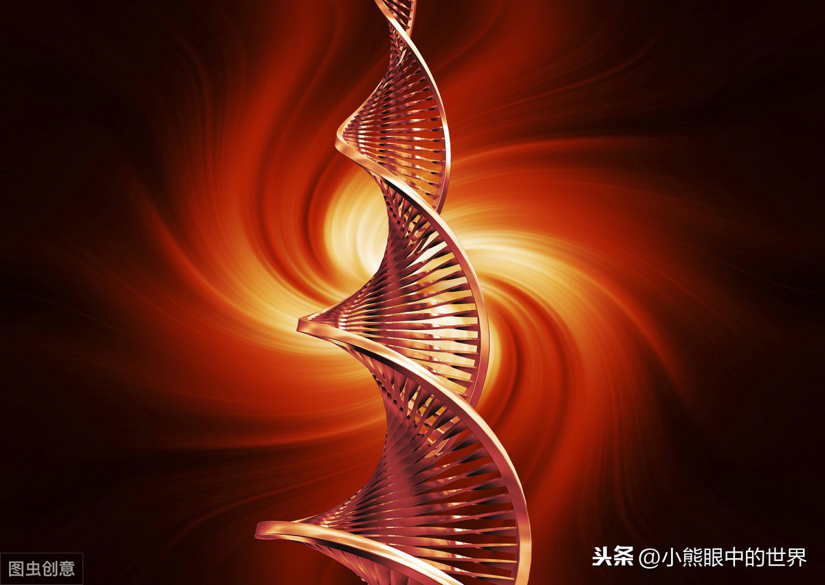 人类为什么从没有正面战胜过病毒,对病毒您了解多少?