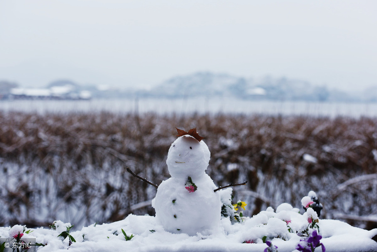 读诗赏雪|15首最美雪景诗,教给孩子吧!