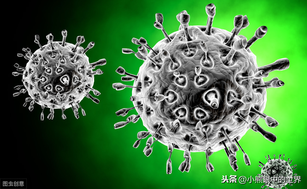 人类为什么从没有正面战胜过病毒,对病毒您了解多少?