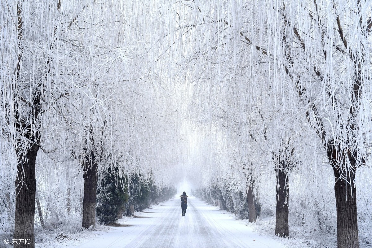 读诗赏雪|15首最美雪景诗,教给孩子吧!
