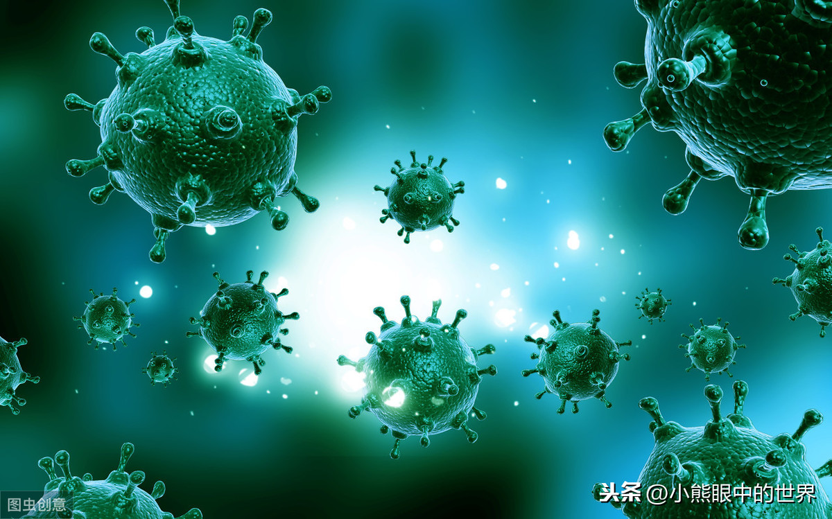 人类为什么从没有正面战胜过病毒,对病毒您了解多少?