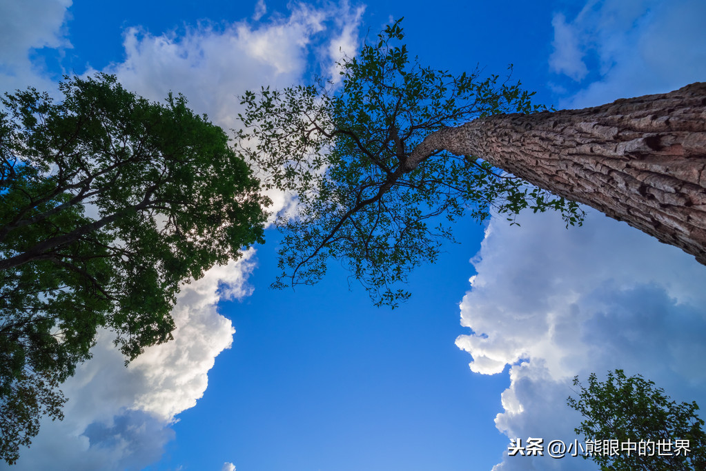 疫情面前,一个普通从业者的喜怒哀乐